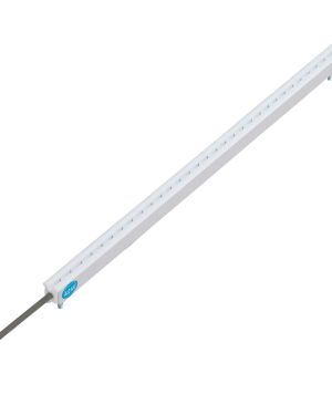 1/2″ SS